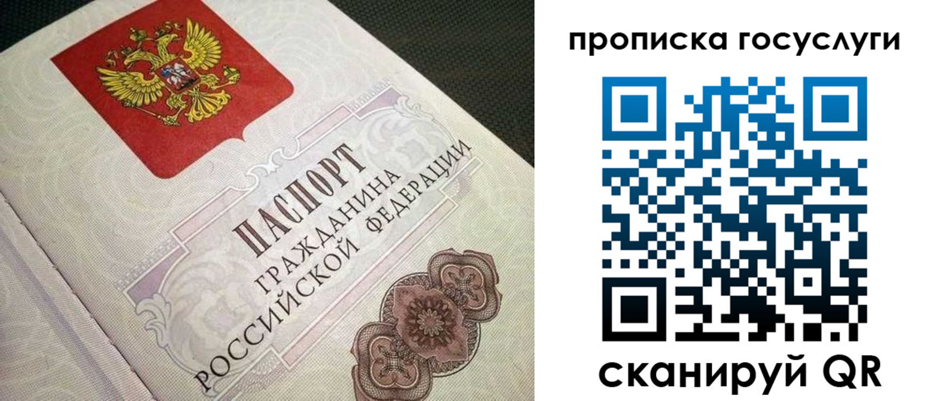 временная регистрация гарантия в Ставрополе